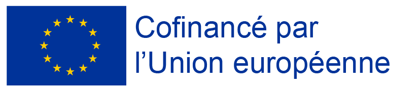 Embleme ue base contour blanc cofinance bleu 1